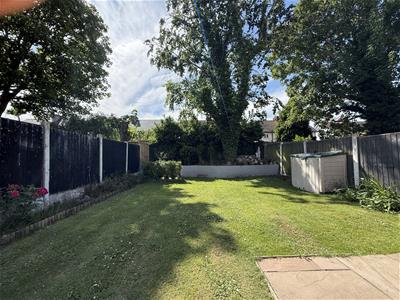 Picture 15